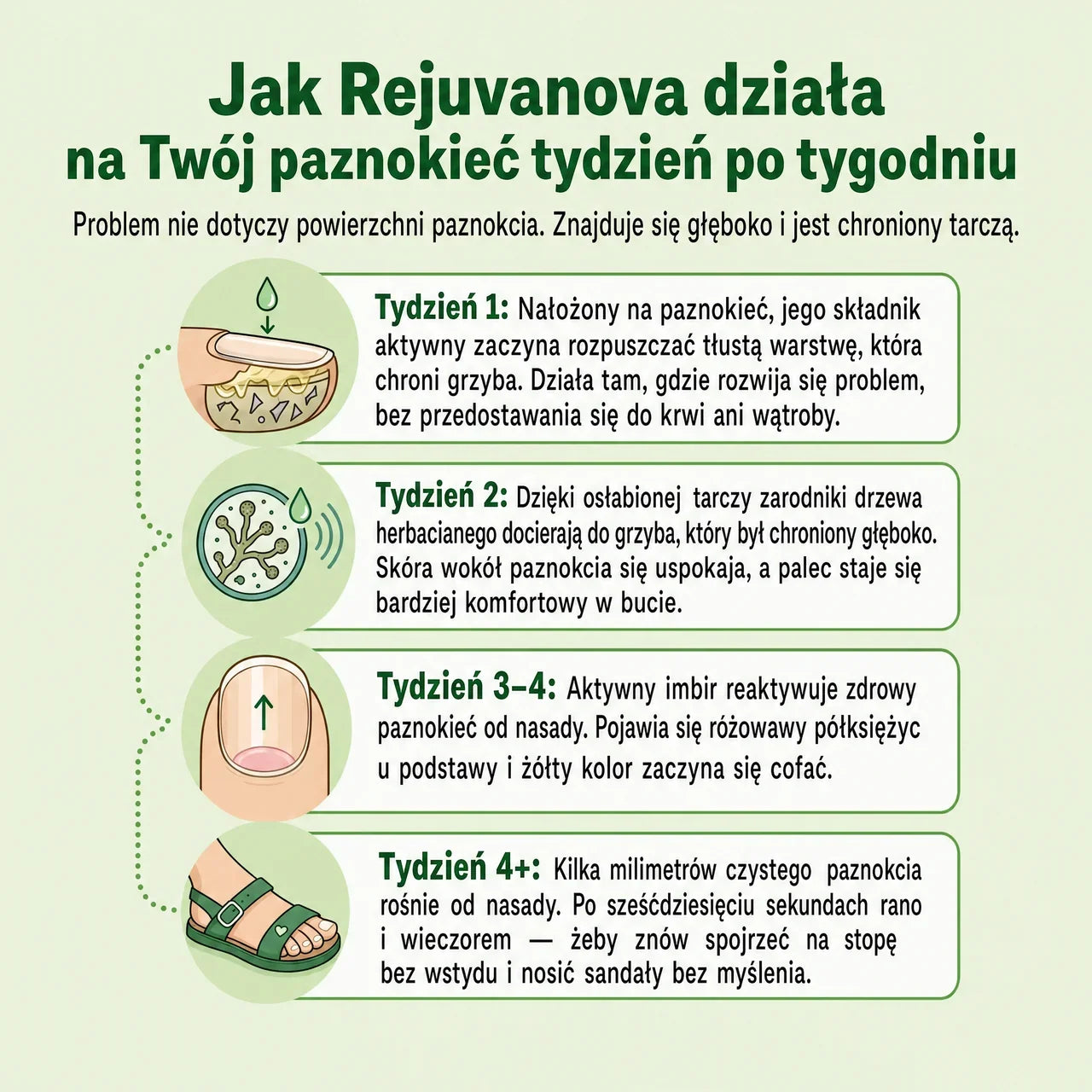 RejuvaNova – Kuracja Przeciwgrzybicza